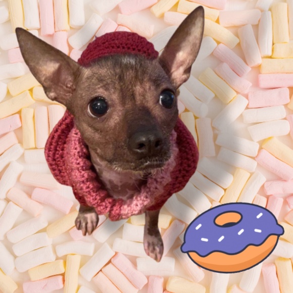 Raspberry Dog Sweater - Picture 6 of 7